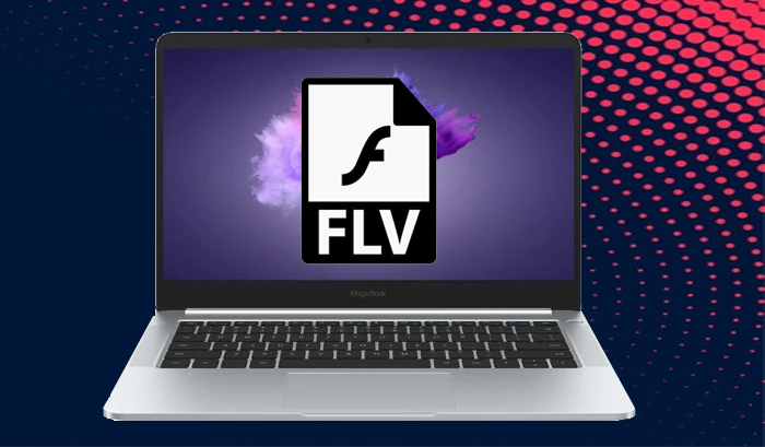 open and edit FLV files